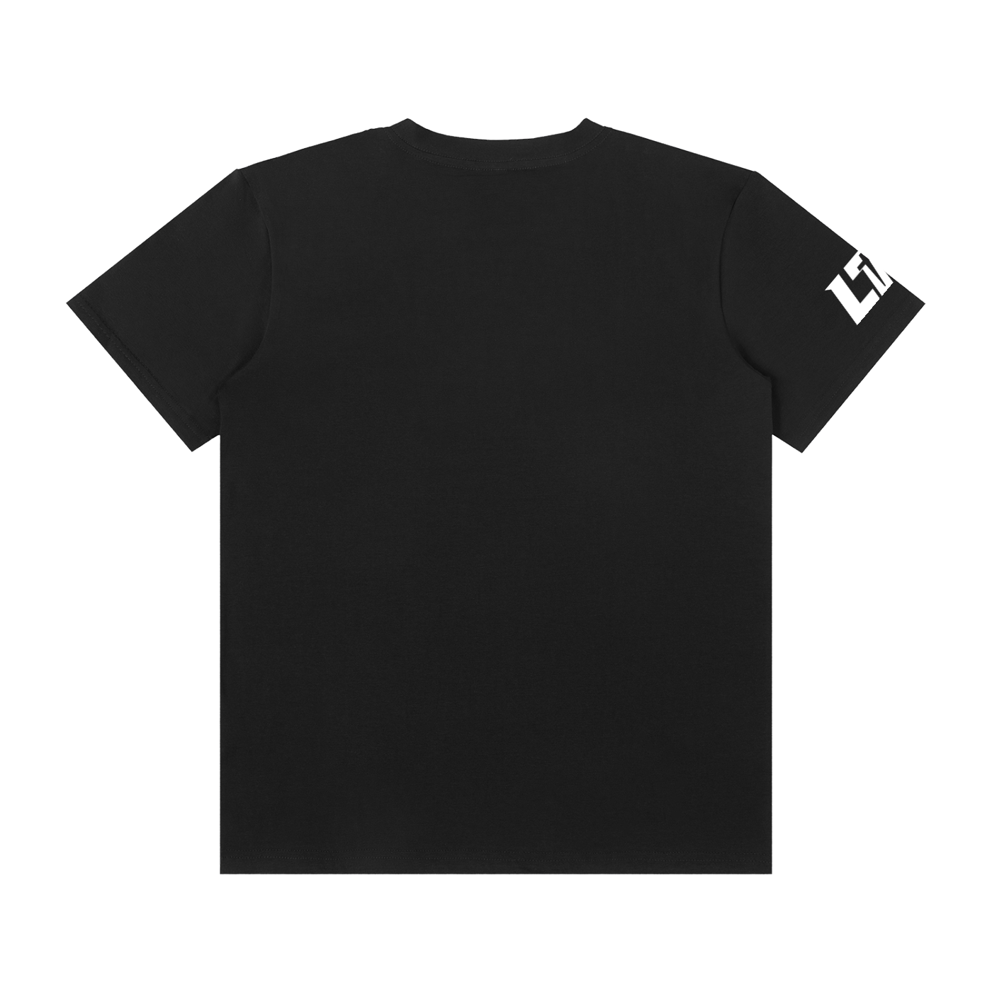 God Came in the Flesh. His Name is Jesus. T-Shirt